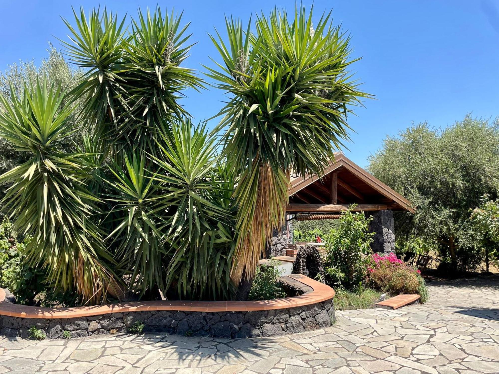 Maison Divaga Fleri Bagian luar foto